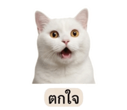 858883065