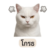 858883066