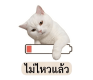 858883067