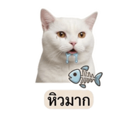 858883068