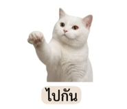 858883070