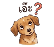 858883974