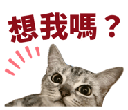 858889097