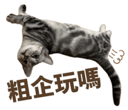 858889111