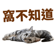 858889116