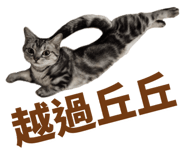 858889120