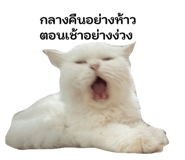 858890383