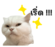 858890384