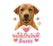 858890442