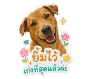 858890443