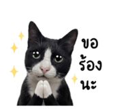 858891298