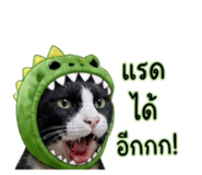 858891299