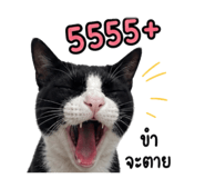 858891304
