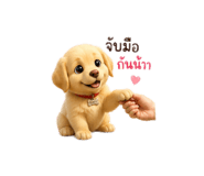 858891308