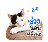 858892379