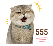 858893229