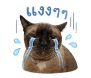 858893510