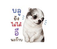 858894810