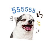 858894812