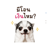 858894815