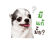 858894816