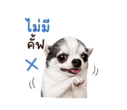 858894818