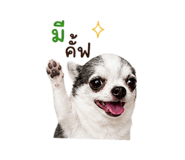 858894819