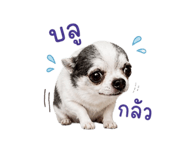858894821