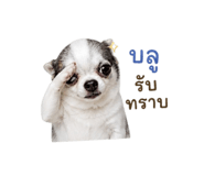 858894822
