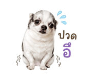 858894823