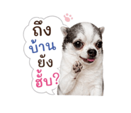 858894830