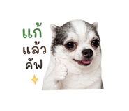 858894832
