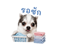 858894836