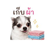 858894837