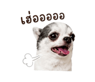 858894840