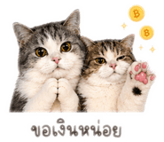 858895025