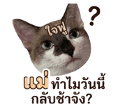 858895052