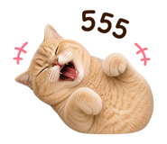 858896011