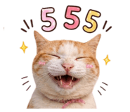 858896066