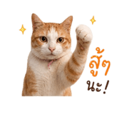 858896075