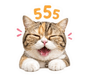 858896913