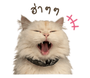 858897058