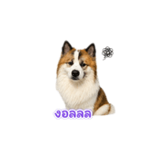858898702