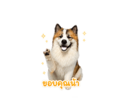 858898704