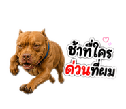 858899398