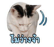 858901251