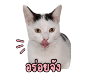 858901256