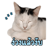 858901258