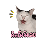 858901262