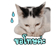 858901265